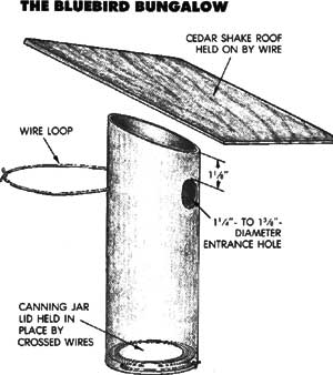 Diagram of the bluebird bungalow birdhouse.